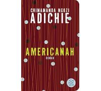 Americanah: Roman