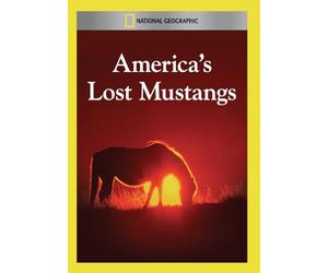 America's Lost Mustangs