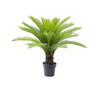 AMERIQUE Magnifique Palmier Artificiel Cycas Revoluta avec Pot de pépinière - Technologie Feel Real - 28 Feuilles Longues et géantes - Vert - 0,9 m