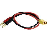 Amewi Câble de charge [1x banane mâle 4 mm - 1x XT60] 20 cm 28231