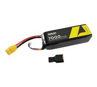 Amewi Pack de Batterie (LiPo) 11.1 V 7000 mAh Nombre de cellules: 3 hardcase XT90