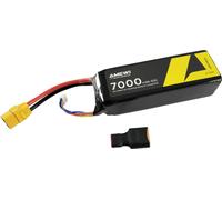 Amewi Pack de Batterie (LiPo) 11.1 V 7000 mAh Nombre de cellules: 3 hardcase XT90