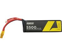 Amewi Pack de Batterie (LiPo) 14.8 V 5500 mAh Nombre de cellules: 4 Softcase XT90