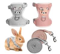 Amexo 2 Pièces Harnais et Laisse Réglables pour Lapin, Chien, Hamster, Chat et Petit Animal (1-4kg)