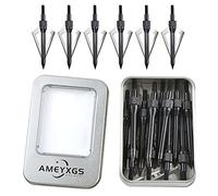 AMEYXGS 12 pièces Tir à l'arc Pointes de flèche 100grain Pointes de Chasse avec boîte Conseils de flèche pour arbalète composé Arc Classique tir de Chasse (Noir)