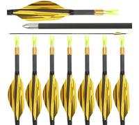 AMEYXGS 31 Pouces Flèches en Carbone ID 4.2mm Flèches de Chasse 700 800 900 1000 Spine Flèches d'arc de Compétition pour Arc Recourbé Arc à Poulies 6/12 Paquet