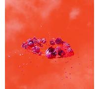 AMI DANG - THE LIVING WORLD'S DEMANDS [VINYL]