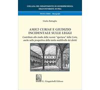 «Amici curiae» e giudizio incidentale sulle leggi. Contributo allo studio della recente «apertura» della Corte, anche nella prospettiva della tutela multilivello dei diritti