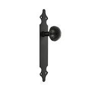 Amig - Bouton pivotant avec plaque lisse | 280 x 45 x 2 mm | Bouton Ø 55 mm | Idéal pour toutes les portes intérieures | Plaque en acier et bouton en zamak Noir