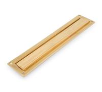 Amig - Passe-Lettres Doré Mod. 2 - Volet pour Murs ou Portes - Réceptacle à Courrier Con Capot en Laiton - 342 x 73 mm - Ouverture: 312 x 43 mm - Couleur Or Poli - Fente pour Lettres