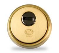 Amig - Rosace de sécurité Mod.31 | Acier | Corps renforcé en acier fritté | Anti-perçage | Plaqué or | Pour portes d'une épaisseur de 40 mm min. | Trou de serrure de 65 mm de diamètre