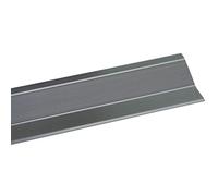 Amig - Solin pour Joints De Sol | 985 mm X 40 mm | Bande De Transition et Adhésif | Bande De Chant pour Joints De Bois, Parquet, Parquets, Marbre et Carrelage | Aluminium Argenté