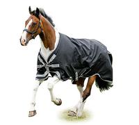 Amigo Bravo 12 XL Org à Medium 81 Noir/Gris