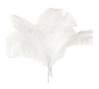 Amigocee 10 Pcs Naturel Plumes D'Autruche Decoration Blanc 45-50Cm