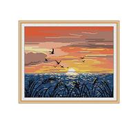 Amiiba Kit de broderie au point de croix estampé, coucher de soleil sur la mer et mouette 11 ct, 49,8 x 40,9 cm (Haiou)