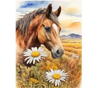 Amiiba Kit de broderie au point de croix pré-imprimé pour adultes, cheval, fleurs, animaux, 11 ct - Kit de broderie estampillé - 40 x 50 cm - Décoration murale pour enfants débutants