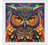 Amiiba Kit de broderie au point de croix pré-imprimé pour adultes, hibou coloré 11 carats - Décoration murale pour débutants (hibou coloré)