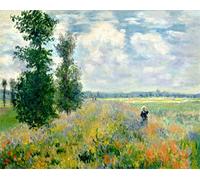 Amiiba Monet Kit de peinture acrylique par numéros - Motif champ de coquelicots - 40,6 x 50,8 cm - Décoration murale (coquelicots, sans cadre)