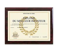 Amikado Diplôme Deluxe personnalisé - Plaque Aluminium sur Support en Bois - Cadeau de lauréat à Personnaliser - Format 22,8 x 30,5 cm - Fixation Murale au Dos - Diplôme Humoristique ou honorifique