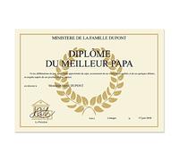 Amikado Diplôme personnalisé sur Plaque Aluminium - Faux diplôme Humoristique - Plaque 30x20 cm en Aluminium 0,5 mm - Cadeau Original Fin d’études, Anniversaire, Bureau - Anneau de Fixation Mural