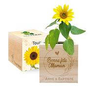 Amikado - Ecocube gravé Bonne fête Maman à personnaliser (Tournesol) - Plantes dans Un Cube en Bois - 100% Eco Friendly - idée Cadeau Durable