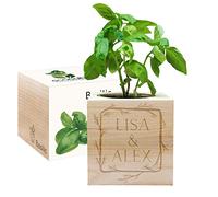 Amikado - Ecocube gravé cadre fleur (Basilic) - Plantes dans Un Cube en Bois - 100% Eco Friendly - idée Cadeau Durable