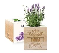 Amikado - Ecocube gravé d'un prénom (Lavande) - Plantes dans Un Cube en Bois - 100% Eco Friendly - idée Cadeau Durable