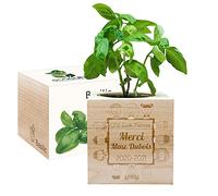 Amikado - Ecocube gravé Merci Maîtresse (Basilic) - Plantes dans Un Cube en Bois - 100% Eco Friendly - idée Cadeau Durable