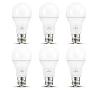 Amindu LED Ampoule E27 blanc froid 4000K (lot de 6) - super lumineuse, non dimmable, 13,6W LED E27 remplace 100W lampe H - idéale pour grands bureaux, garages, cuisines ou ateliers