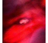 Amini - Faded Orbit [Import]