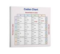 Amino Acid Codon Chart Poster Genetic Code Reference Guide for Biology Students Study Protein Synthesis Molecular Genetics Classroom Wall Art(Framed,16x24inch(40x60cm))