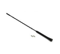 AMiO 01129 Antenne