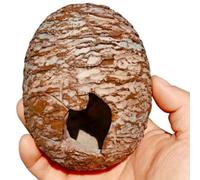 AMISENK Abri texturé pour reptiles et dinosaures avec entrée irrégulière, faible entretien, décoration de terrarium modifiable pour parc marin