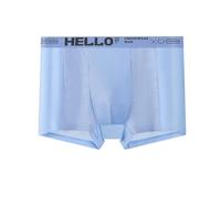 AMISENK Boxer anti-transpiration pour homme - Taille basse - En maille respirante - Pour un usage quotidien - Taille basse, bleu ciel, L