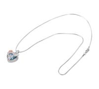 AMISENK Collier avec pendentif en forme de cœur pour cendres - Souvenir pour animal de compagnie perdu