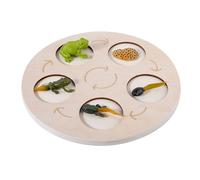 AMISENK Cycle de croissance Jouet assorti Puzzle éducatif pour la maternelle Figurine d'apprentissage Cognition de la vie pour les enfants d'âge préscolaire