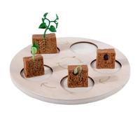 AMISENK Cycle de croissance Jouet assorti Puzzle éducatif pour la maternelle Figurine éducative Gognition de la vie pour les enfants d'âge préscolaire