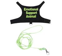 AMISENK Ensemble de harnais lézards régulables pour promener les animaux de compagnie colorés pour les petits reptiles animaux de compagnie