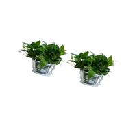 AMISENK Lot de 2 supports de pot de fleurs en métal haute capacité pour intérieur ou extérieur, support de vigne en fer, rebord de fenêtre, support de jardinière