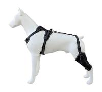 AMISENK Protège-jambes de chien de tailles multiples offrant et confortable pour les petites et grandes races pendant les moments de jeu. Durabilité et protection des jambes du chien