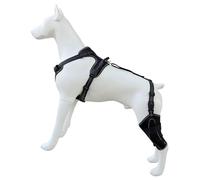 AMISENK Protège-jambes de chien de tailles multiples offrant et confortable pour les petites et grandes races pendant les moments de jeu. Durabilité et protection des jambes du chien