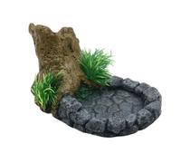 AMISENK Terrariums d'alimentation pour reptiles, mangeoires en résines, gamelles pour amphibiens pour boire et manger en toute sécurité