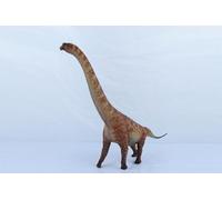 AMITD 1:35 Modèle Brachiosaure Figurine dinosaure échelle (marron)