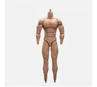 AMITD 1:6 Échelle Homme Action Figure 30,5 cm Muscle Flexible Mâle Figurine Corps Poupée Miniature Figurine Sans Tête Sculpte