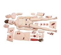 AMITD 170 cm Interchangeable Trauma Manikin - Entraîneur d'entretien 24 semaines