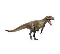 AMITD 75 Donald The Saurophaganax Figurine Allosauroidea Prehistoric Dinosaur Collector PVC Model Gift