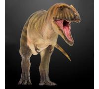 AMITD Carcharodontosaurus Gamba Figurine réaliste Carcharodontosauridae Dinosaure PVC Collector Toys Animal Art Modèle Décoration Cadeau pour adulte