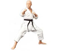 AMITD DID SF80001 1/12 Scale The Karate Player Figurine d'action 6 pouces Man