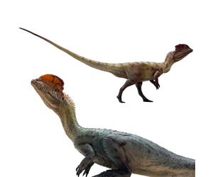 AMITD Dilophosaurus (Wang Ying+Hu san Niang)