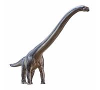 AMITD Dinosaur Museums Series (New ER-MA The Mamenchisaurus 1:45 Scientific Art Model)